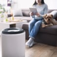 The 13 Best Amazon Air Purifiers — Starting at $40